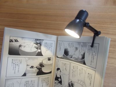 P1081867_400.jpg