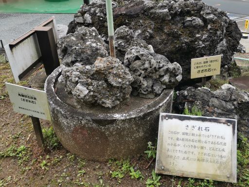 UPZNoXRCrponFv71715915717.jpg