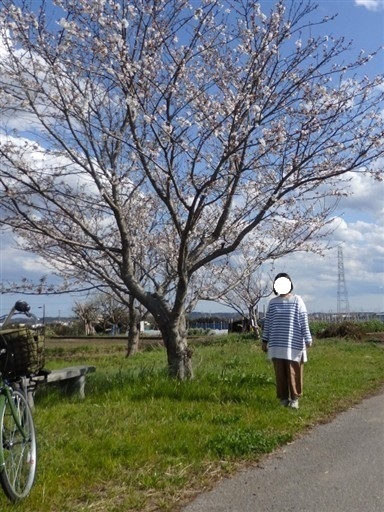 Gj22wt0an5g7uDO1744085676.jpg